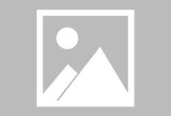 关于亚冠赛后走向成谜，丹佛掘金队长鼓劲，话题不断，身体对抗强度拉满的信息