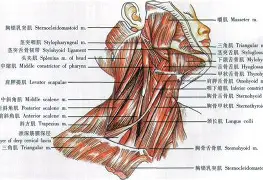 f1p595ps27xyz五 f1p595ps27xyz五